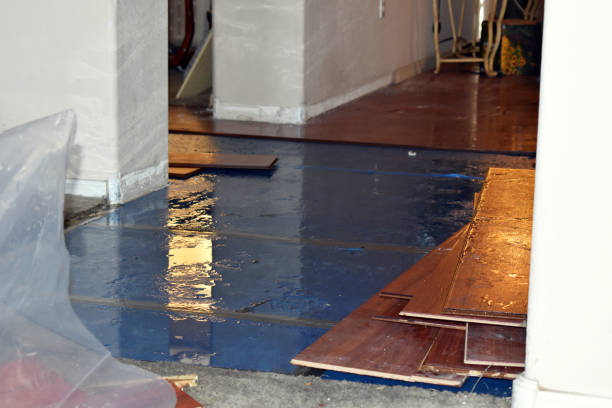 Professional Burst Pipe Cleanup technician working in Russell, IL
